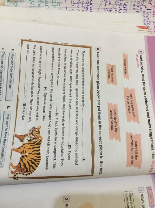 Yapıp çevirene yıldız