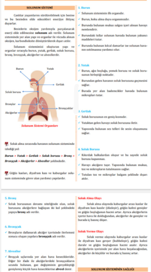 Cevap Resmi