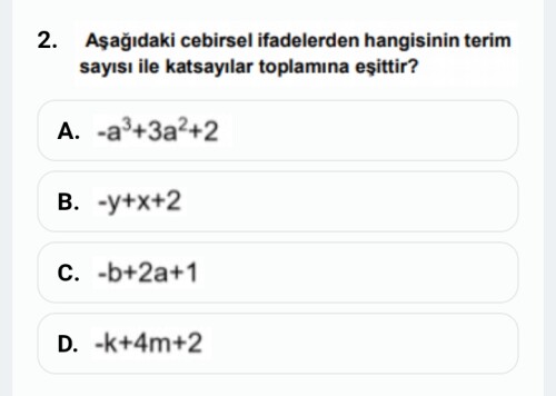 Bu soruyu açıklayarak anlatabilir misiniz?