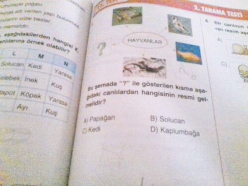 cevappppppppppppp