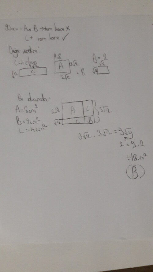 Cevap Resmi