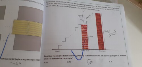 Cevap Resmi