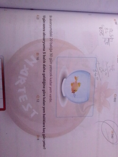 Nasıl yaptığınızı açıklayabilir misiniz??