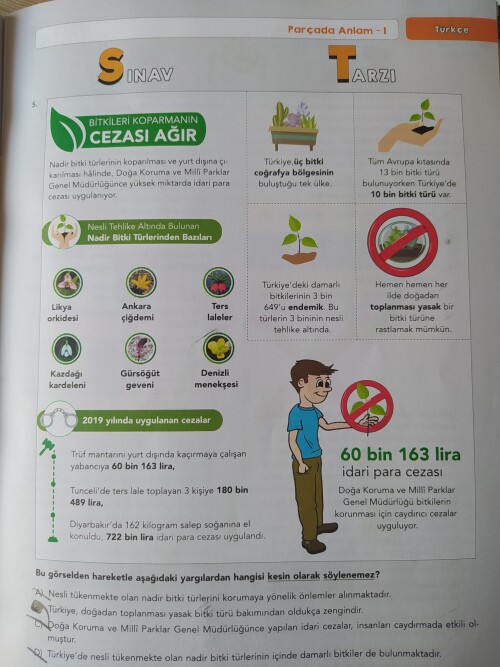 Cevap Resmi
