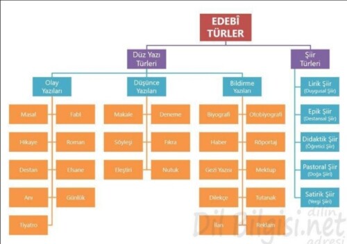 Cevap Resmi