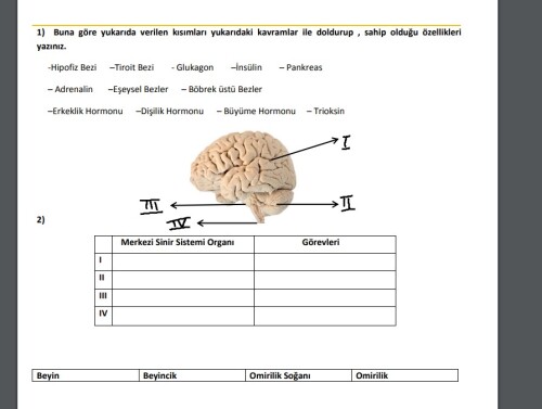 açıklar mısınız