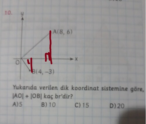 Cevap Resmi