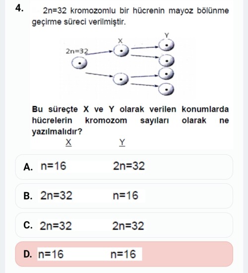 Bugünün sorusu SÜPER YILDIZLI. alalım cevapları