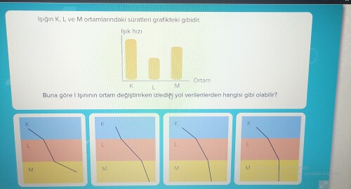 Cevapları lütfen açıklamaları ile yazalım. İlk ikiye yıldız var.