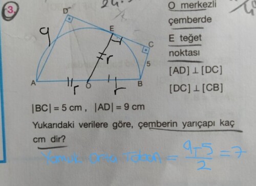 Cevap Resmi