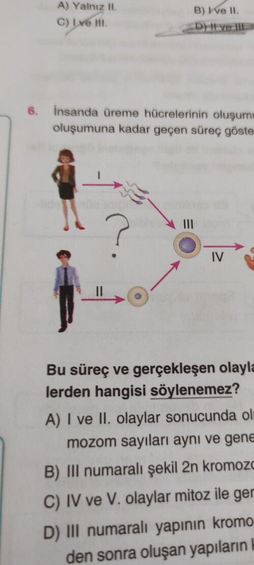 Sorunun Resim Mantığını Anlayan Varmı