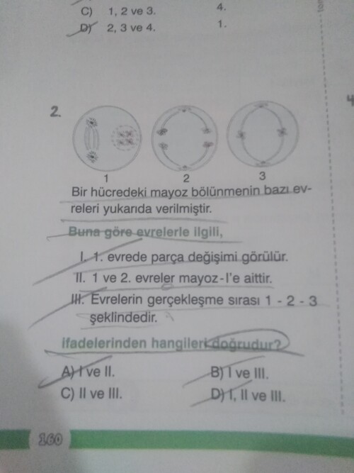 Açıklamasıyla cevaplqrmısınız lütfen.