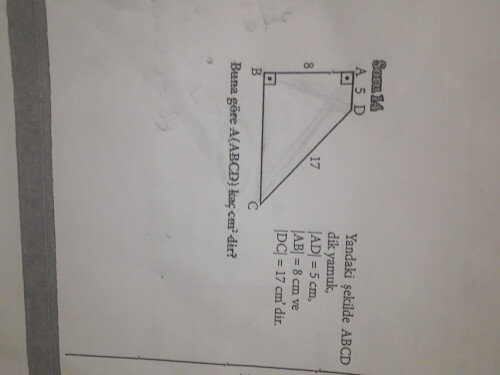 Şu soruya acil bakabilir mısınız?