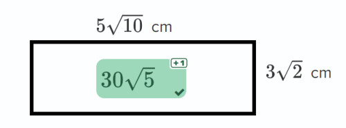 neden alanı 30 kök 5