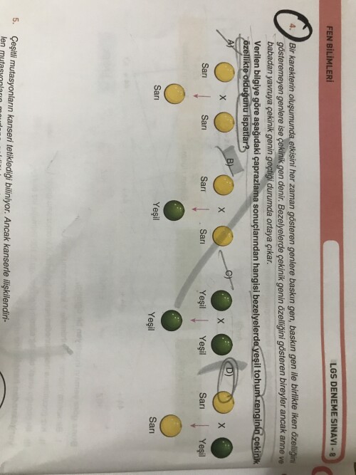 Bu soru nasıl B) oluyor açıklar mısınız??