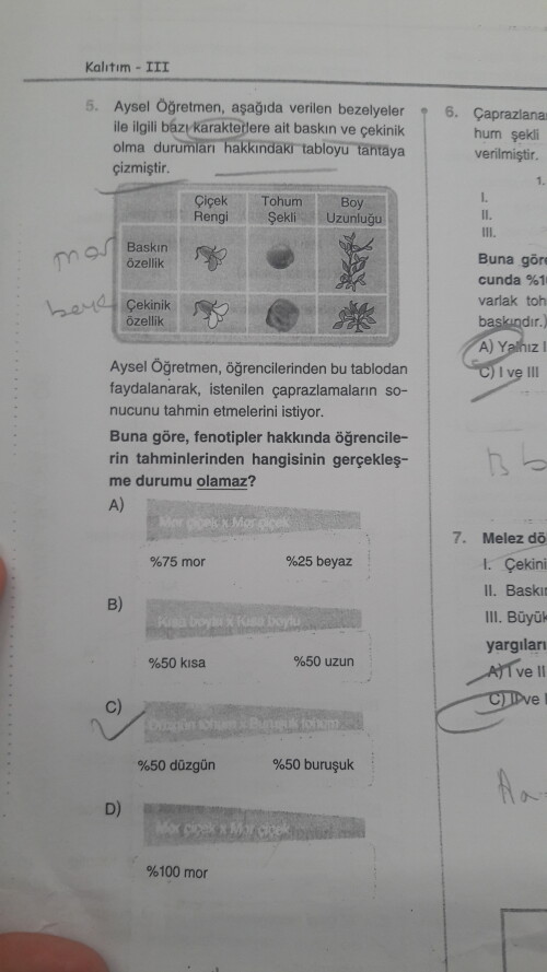 Soruyu çözebilecek olan varmı