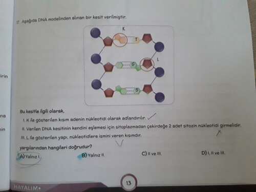 Cevabın A olması gerekmiyor  mu?
Acil cevap ilk bileni en iyi Seçerim