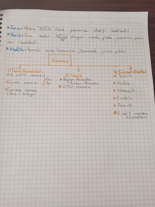 Cevap Resmi