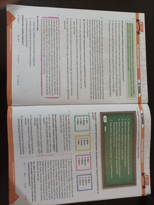 Bu soruları cevaplayabilir misiniz lütfen biraz acil ☺️