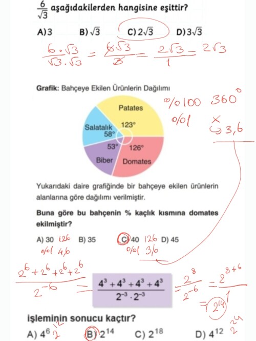 Cevap Resmi