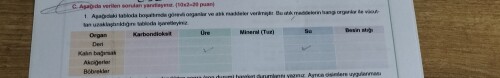 Yardım eder misiniz:)