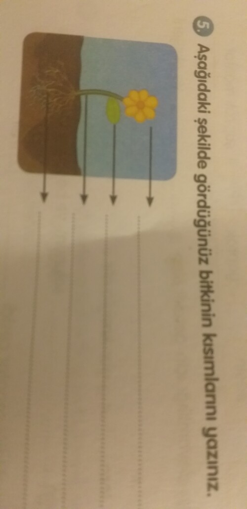 Bu soruyu bilen iki kişiye 👉⭐⭐ yıldız  vericem.