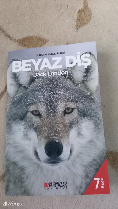 Bu kitabın ana fikri ve konusunu yazan yıldızlarım