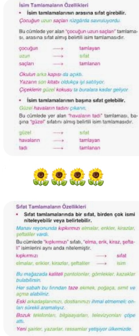 Cevap Resmi