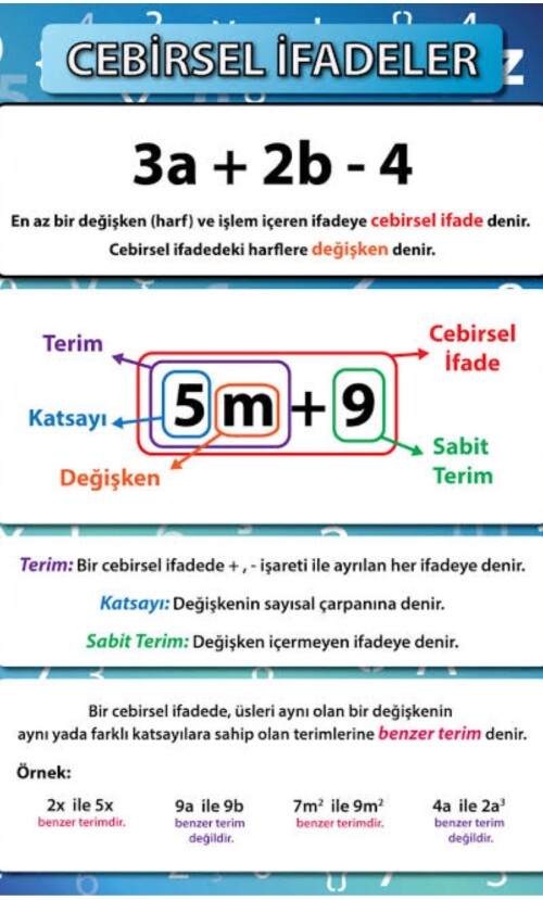 Cevap Resmi