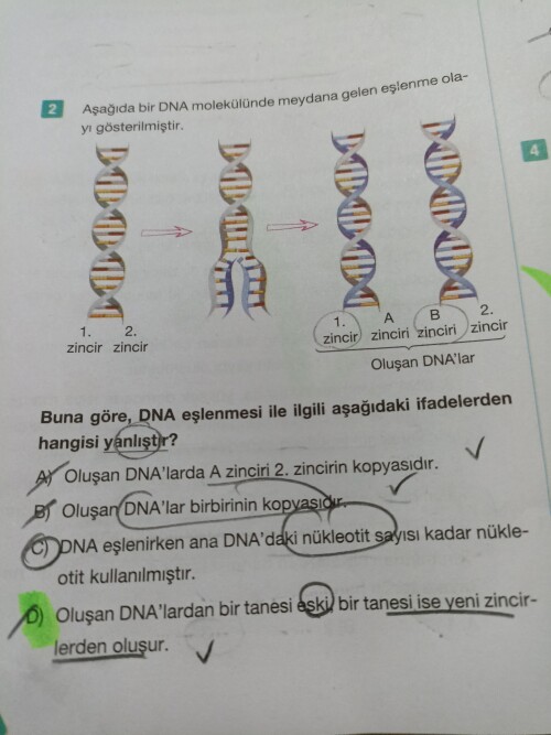 Soruyu açıklar mısınız?