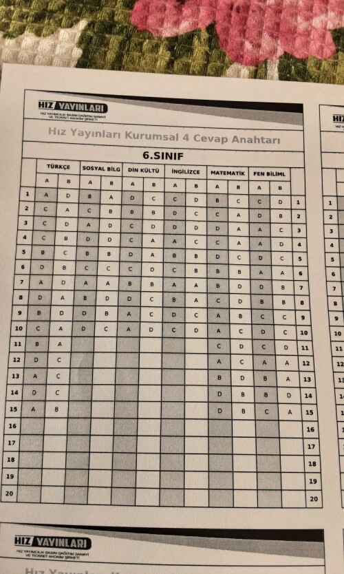 Cevap Resmi