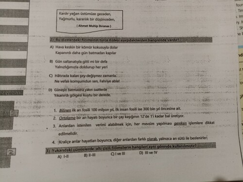 Bunlara bakar misiniz