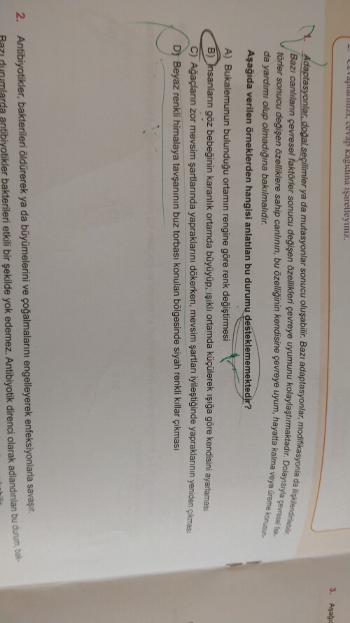 Şu soruyu anlatabilir misiniz?