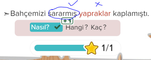 sıfat yanlış değil mi?