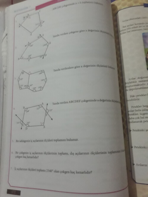 Cevap Resmi