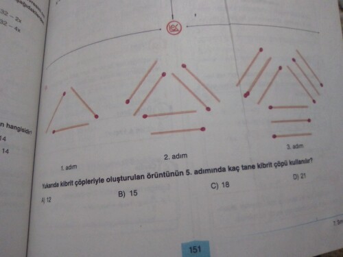 Bu soruya cevap verebilir misiniz