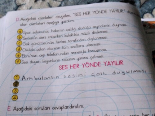 Dediği gibi. Cümle kurup atarmisiniz?