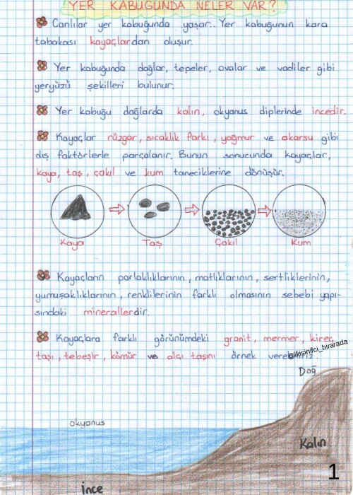 Cevap Resmi