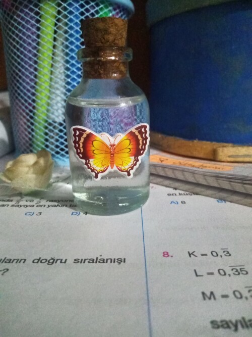 Günün Sorusu...🎀🎀

Ahmet'in 3 kulağı var berkcan'ın da 7 kulağı var. Berkcan kulaklarını Ahmet'e verirse Ahmet'in kaç kulağı olur?