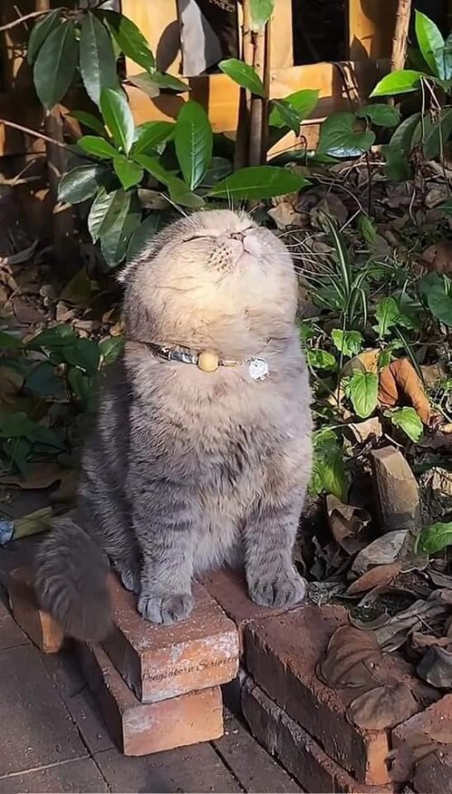 Ne tarz bir kitap aradığınızı söyleyin kitap önermeye çalışçammm🌆🌙