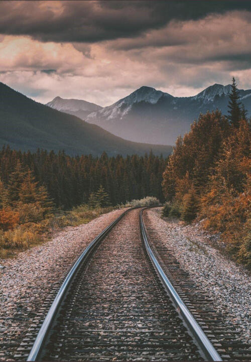 Kendini seven kraliçe İlayda Fatma'ya özel soru

ingilizce seni çok seviyorum knk

 ne demek