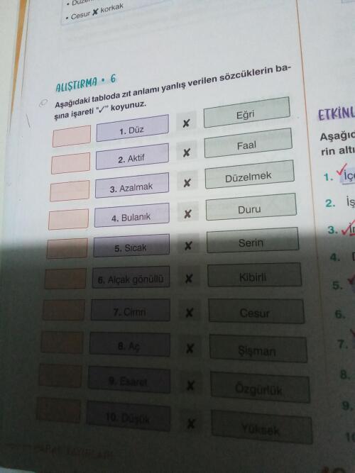 Sizin fikirlerinizi alıyım🧠👍🏻