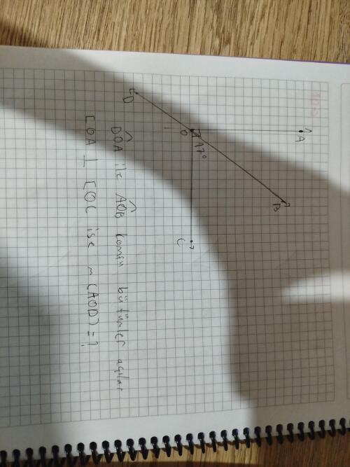 Ben bu soruyu anlayamadım