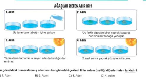 Bu soruya bakarmısınız yıldızlı cevap