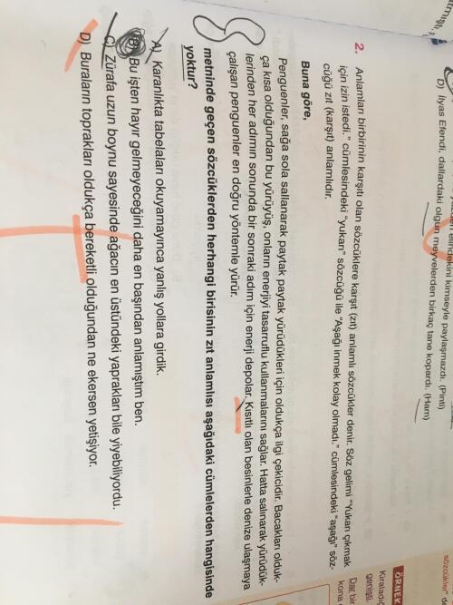 Nasıl d oluyor b de ne var