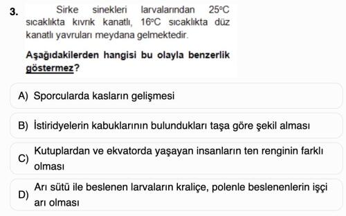 Açıklayarak anlatınız.