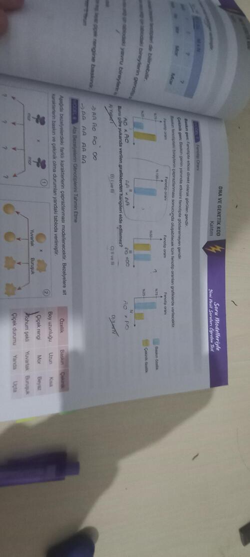 Model 7. Soruya bakar mısınız??( cevap anahtarı B diyor !!)
Herkese iyi dersler...😊