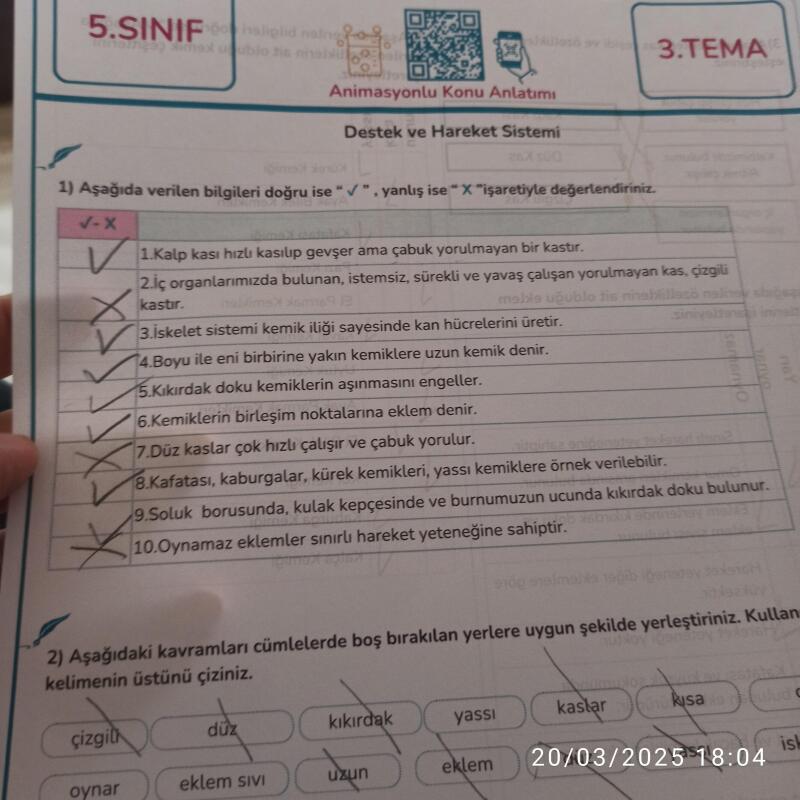 Cevaplarım doğrumu acaba bakabilirmisiniz ?