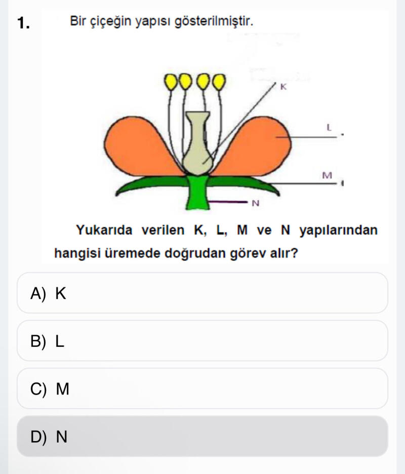 çözebilirmisiniz ?