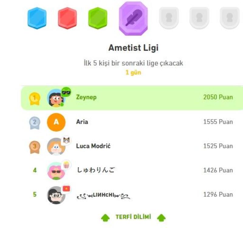 Duolingo oynayan varsa  adını söylesin takip ederim